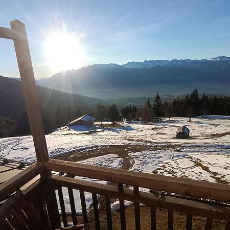 Hotel Rifugio Predaia Ai Todes'Ci Tres Exterior foto