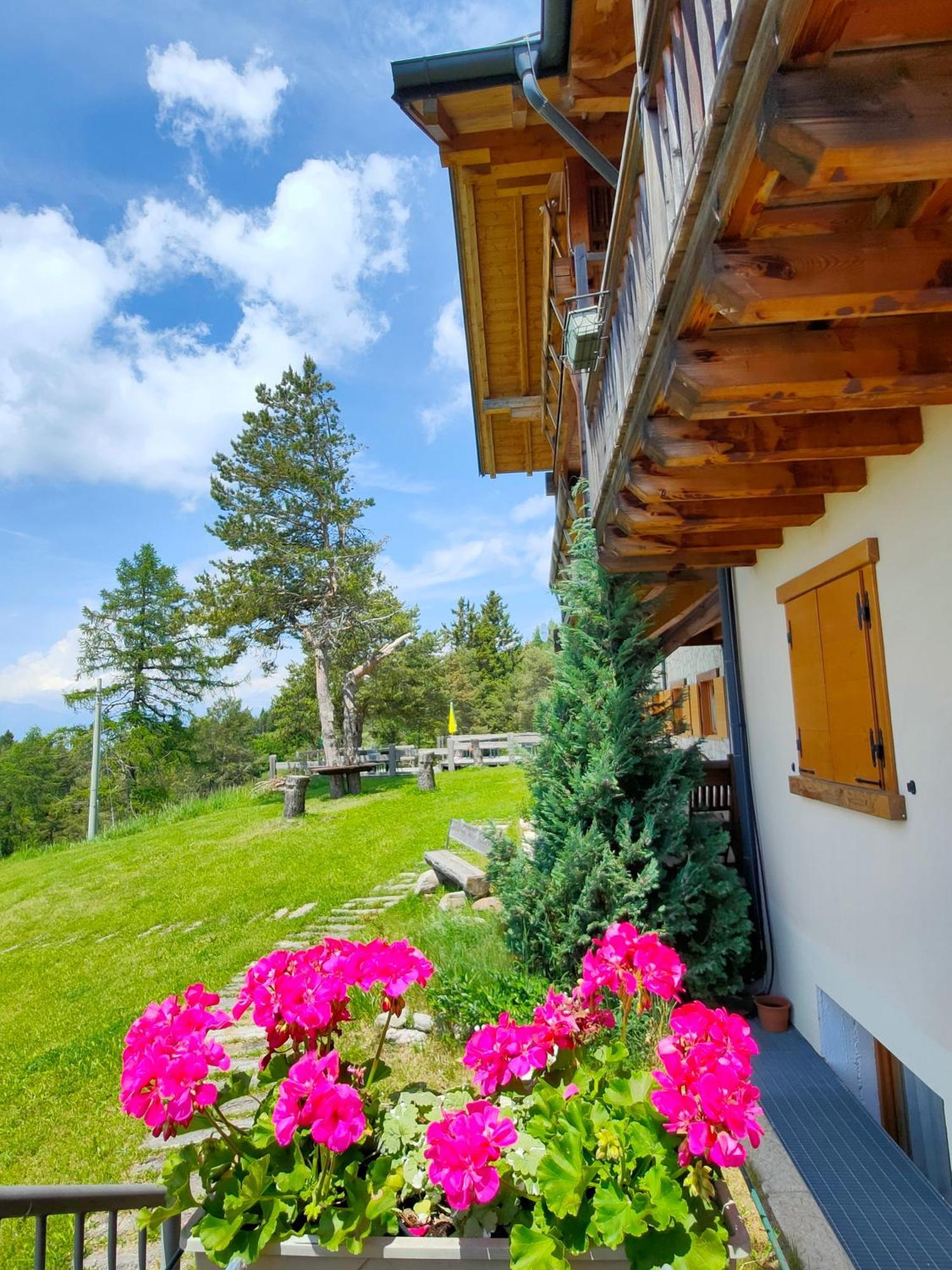 Hotel Rifugio Predaia Ai Todes'Ci Tres Exterior foto